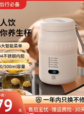 旅行车载保温电热水壶办公养生杯
