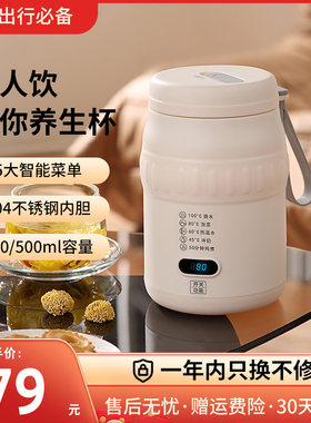 旅行车载保温电热水壶办公养生杯