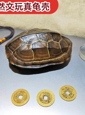 乌龟壳精品天然完整龟甲乾隆通宝三枚摇真龟壳摆件龟甲工具真龟壳
