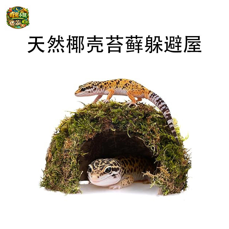 半壳椰壳苔藓保湿躲避屋爬宠通用