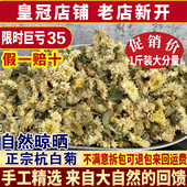 包邮 特级桐乡正宗杭白菊菊花茶500克 朵菊白菊花 2022新花
