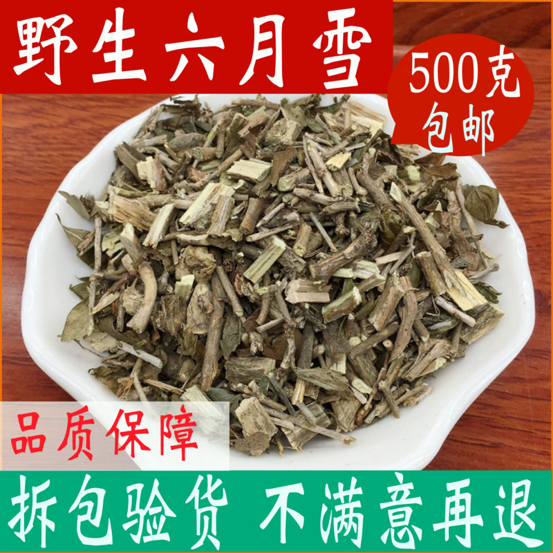 六月雪 中药材六月雪 500克包邮白马骨 满天星正品中草药店铺