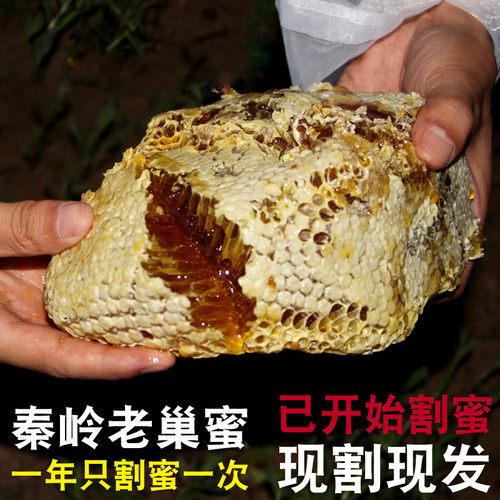 正宗野生蜂巢蜜天然农家老巢蜜