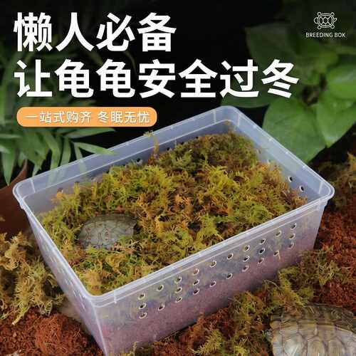 乌龟冬眠套装龟过冬椰土苔藓草沙土垫材乌龟保温饲养箱乌龟冬眠箱