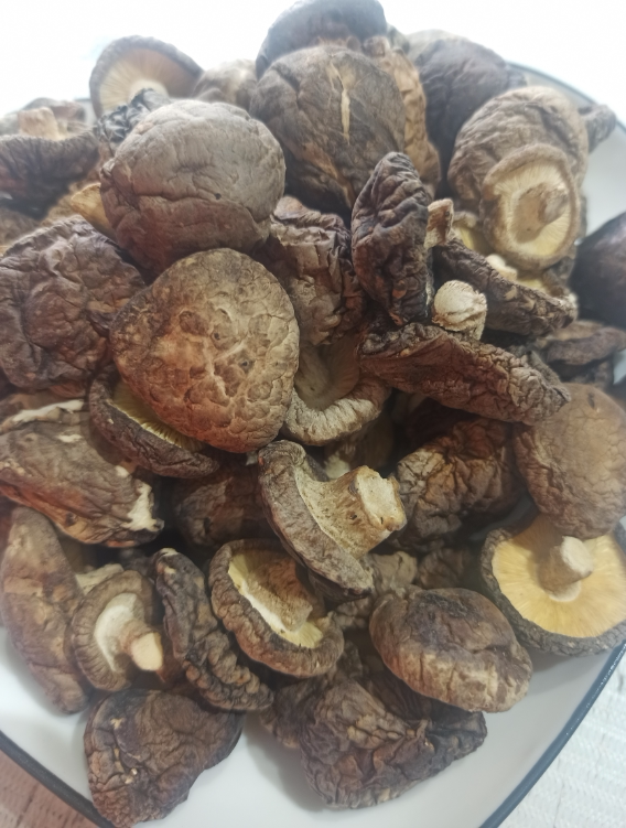 香菇400g/袋新鲜烘干金钱菇小冬菇鹰潭新货无根干香菇