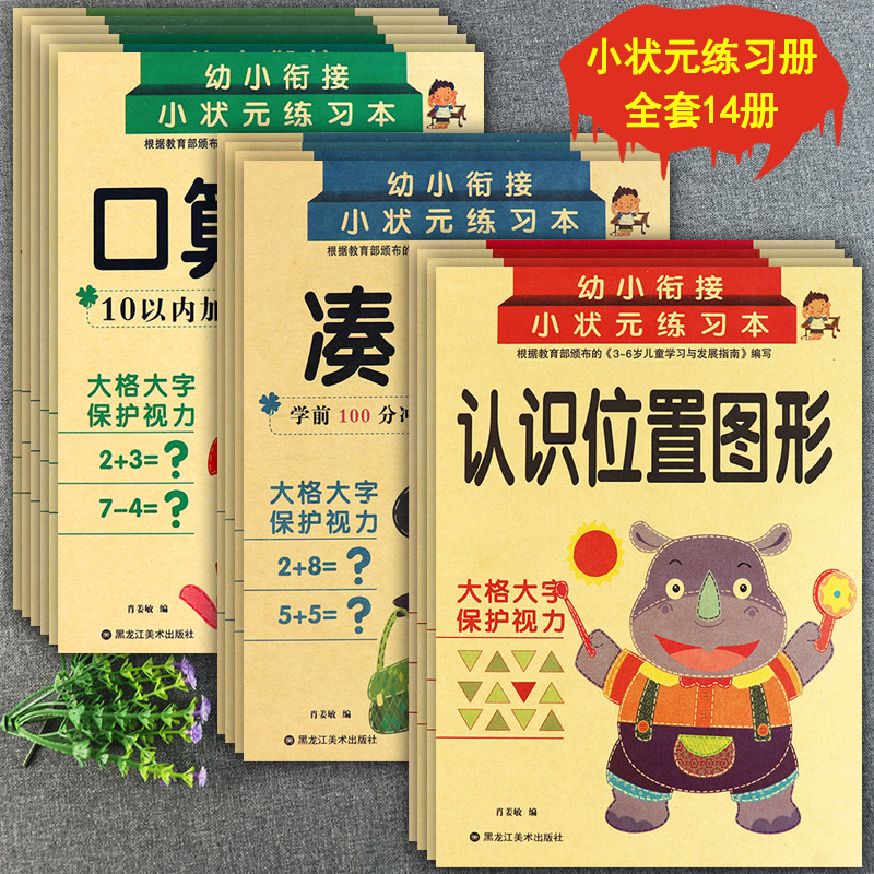 幼小衔接数学专项综合练习