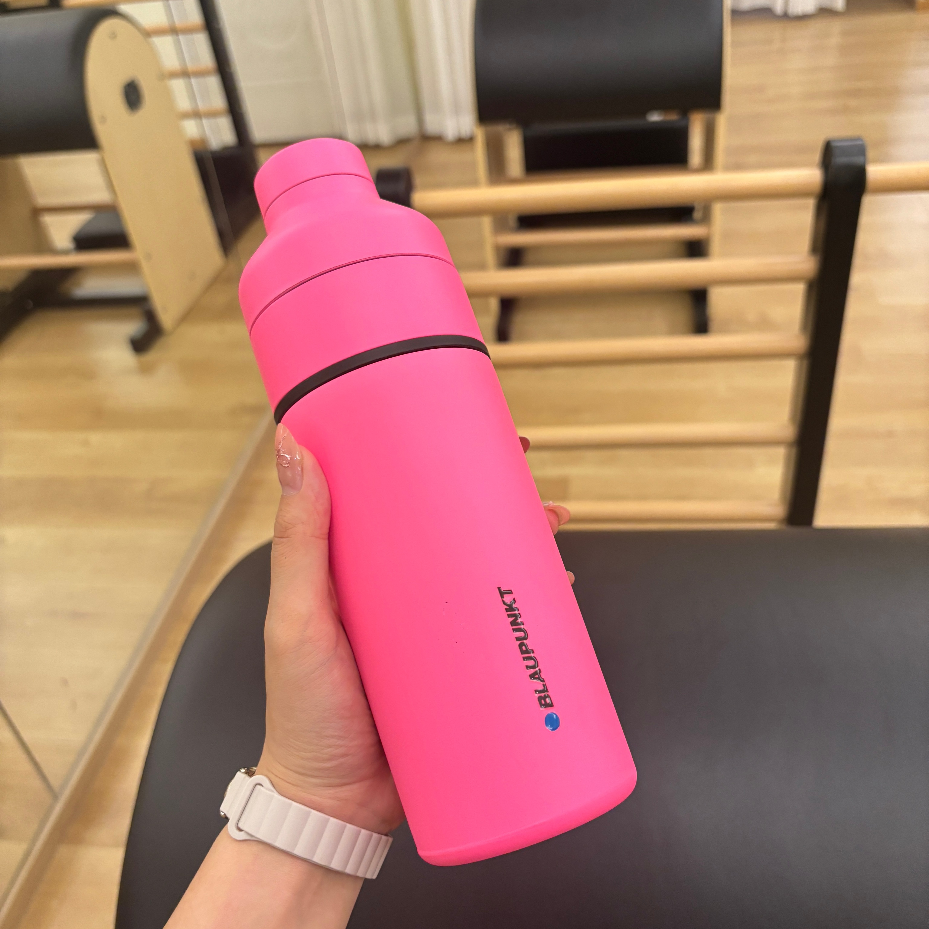 BLAUPUNKT/蓝宝 BP-GZ03 不锈钢榨汁机小型便携式果蔬果汁杯保温