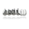 Silver 6 Upper Teeth