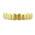 Golden 8 Upper Teeth