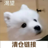 20元 不计成本清仓 包邮 7月清仓第六弹