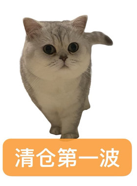 【六月清仓捡漏part.1】精华/面膜/乳液/粉扑/卸妆/冰袖 全新未拆