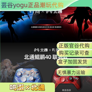 【正品代购】北通×鸣潮联名系列卡提希娅弗洛洛徽章挂件手柄