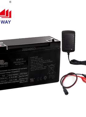 LONGWAY 龙威儿童电动童车蓄电池电瓶大容量3-FM-12  6V12AH/20hr