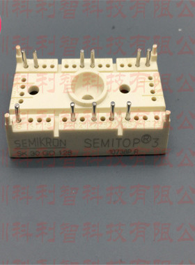 SK30GD128  IGBT Module 可提供配套