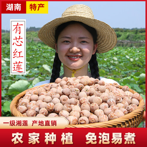 【有芯红莲】农家特产湘潭莲小妹自产干货带心湘莲子红皮寸三莲