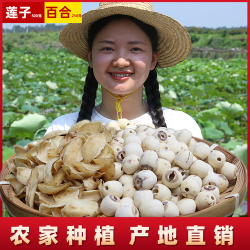 【白莲500g+百合干250g】湖南农家本色莲子百合干 粉糯清香新货