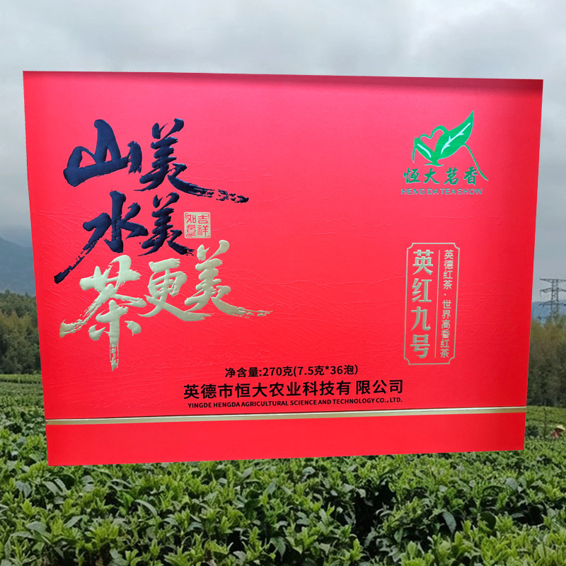 英德红茶英红九号高档礼盒中秋