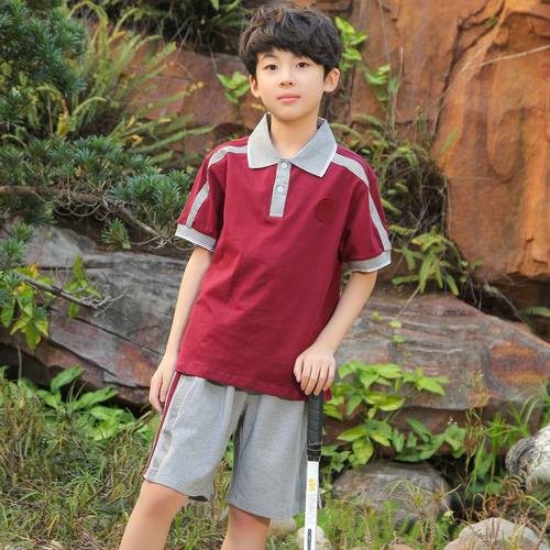 凤岗镇校服小学生统一校服夏套装
