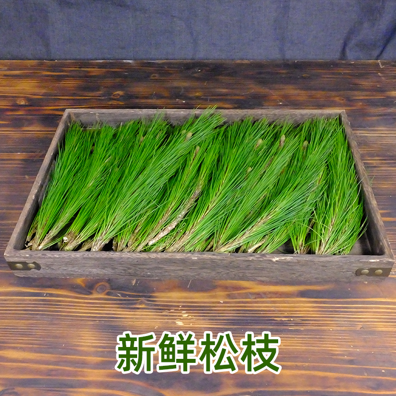 新鲜深山松枝叶野生松针新鲜马尾松针茶松叶蒸包子泡茶泡酒松针茶