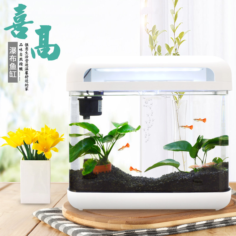喜高鱼缸家用客厅小型观赏水族箱迷你桌面玻璃热带生态造景金鱼缸在类目 宠物/宠物食品及用品, 水族世界, 鱼缸等水族设备, 鱼缸/水族箱中 - 来自Buy2taobao.com提供专业的淘宝代购服务