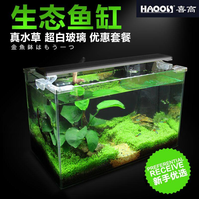 超白玻璃长方形真草生态水族箱中小型桌面客厅生态金鱼缸热带草缸