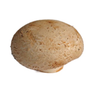 新鲜1斤装 褐菇