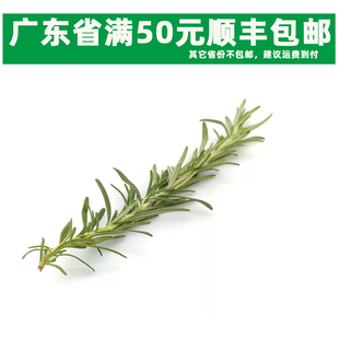 新鲜食用香料迷迭香玛利草 西餐香 ROSEMARY煎牛排调味用品100克
