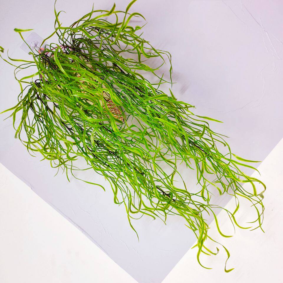 仿真龙须柳壁挂海带藤条家居拍摄布景壁挂装饰花塑料植物造景绿植
