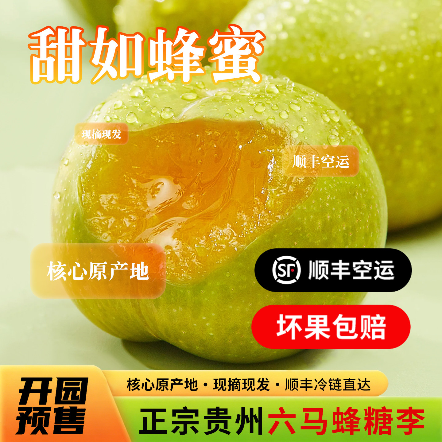 贵州镇宁六马正宗蜂糖李新鲜当季李子现摘现发孕妇营养送礼顺丰