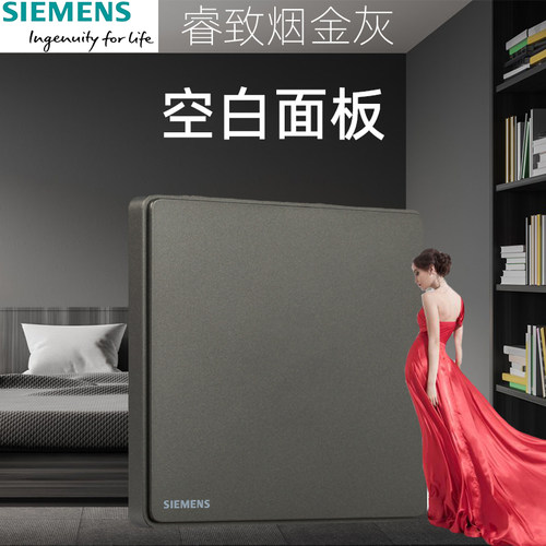 西门子睿致烟灰金空白面板家用型