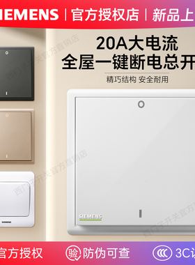 西门子简约全屋总开关单开双极荧光白色20a大电流出门一键断电