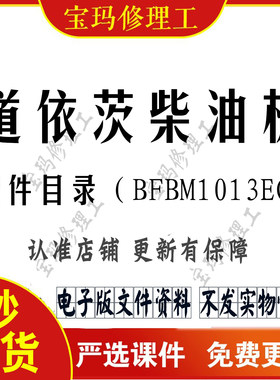 道依茨柴油机零配件目录电子版BM1013ECP电控喷油单体泵维修资料