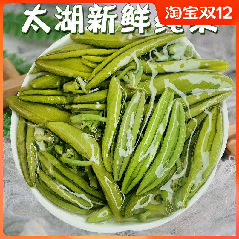 【买10送10】苏州太湖莼菜1包新鲜食用特产pk西湖莼菜野菜包邮