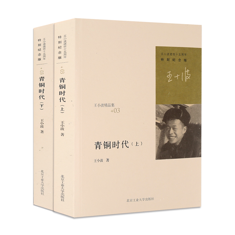青銅時代(上.下)(王小波逝世十周年特別紀念版)/王小波的精品集 隨筆散文集 當代文學雜文集 原版小說 青春小說勵志散文書好