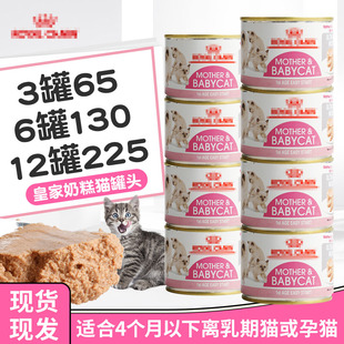 4月离乳期孕猫幼猫湿粮补充营养猫罐头195g 皇家幼猫奶糕罐头1