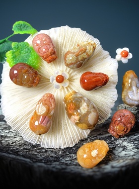 男女天然珊瑚玉貔貅龙龟吊坠配件