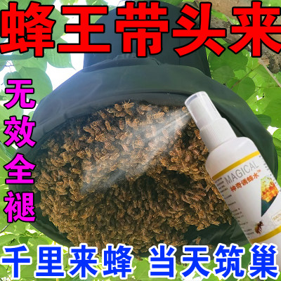 诱蜂膏招蜂王中蜂土蜂神器室外野外养蜂诱蜂巢分蜂群专用引诱蜂水