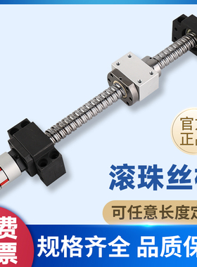滚珠丝杆丝杠套装升降手摇导轨1605 2005 2510螺母滑台模组全套副
