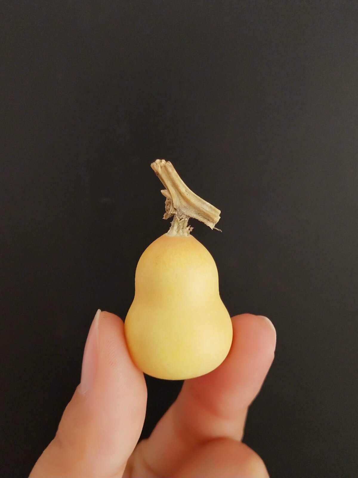 草里金葫芦一物一图挑选已去皮晒干盘玩挂瓷包浆挂件超小文玩葫芦