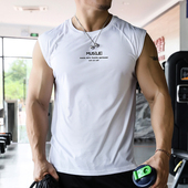 撸铁狼教练无袖 坎肩速干健身衣男运动背心短袖 T恤体能训练服跑步
