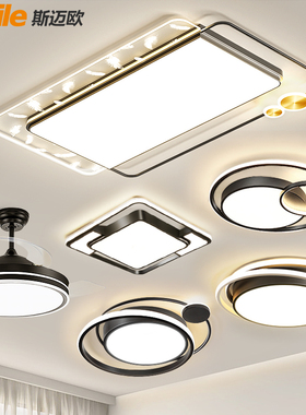 客厅灯2026新款创意羽毛灯具现代简约大气黑色吸顶灯全屋套餐组合