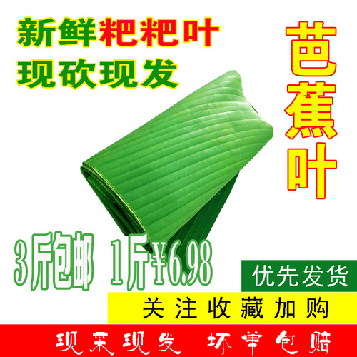 中国重庆野生芭蕉叶新鲜现摘香蕉叶包粽子糍粑烧烤鸡菜肴摆盘叶子