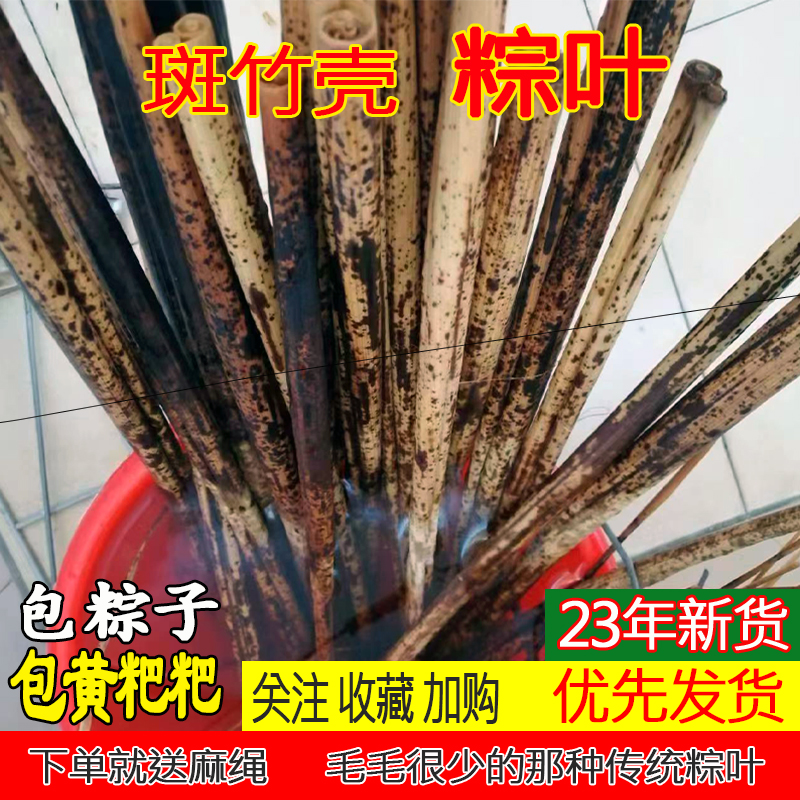 2023新鲜斑竹壳包粽子端午节叶