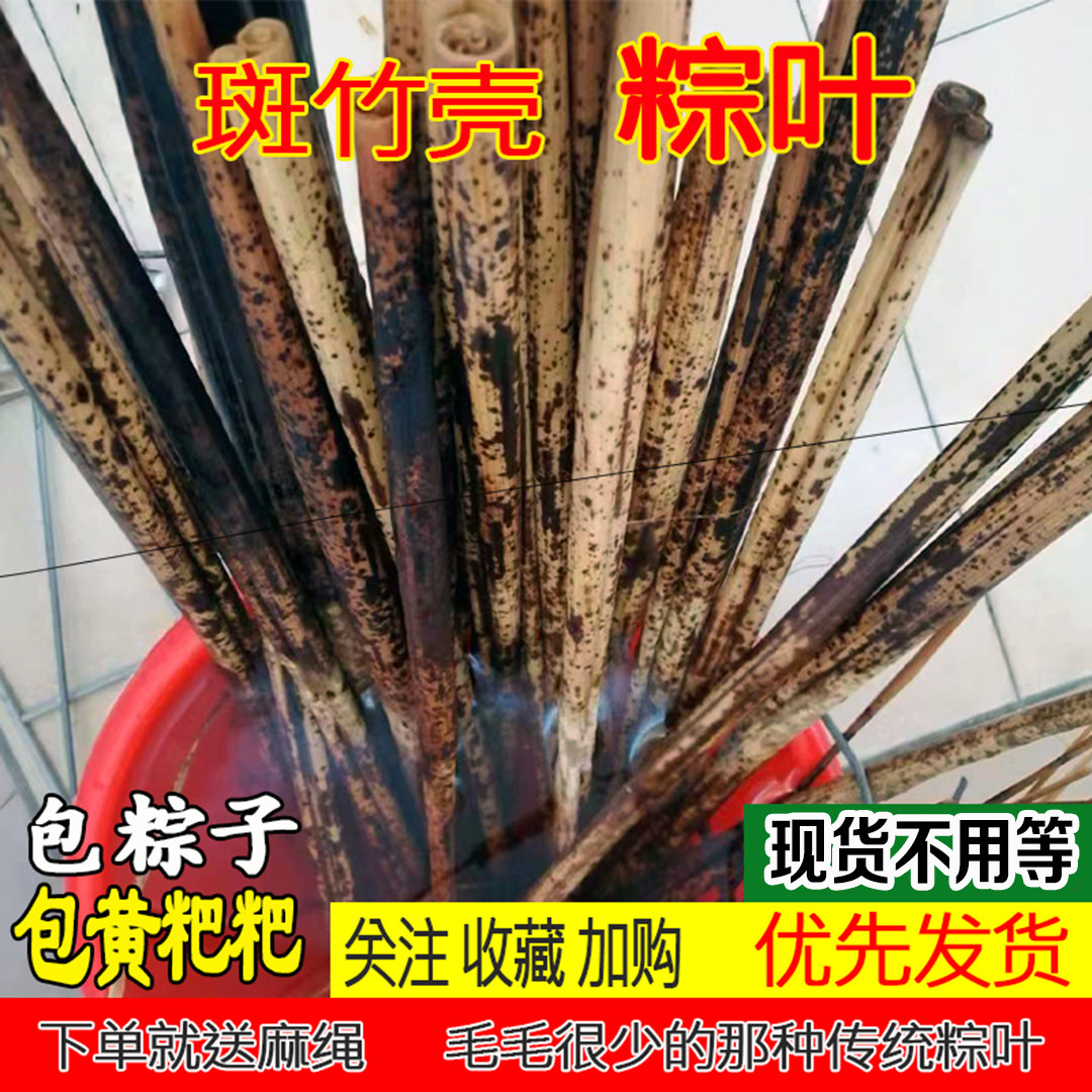 2025年新鲜重庆四川粽叶家用商用粽子用原辅料天然大端午节竹笋壳
