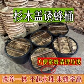 杉木实木盖防潮透气诱蜂桶黑胶桶带木盖野外引蜂神器 新手易用