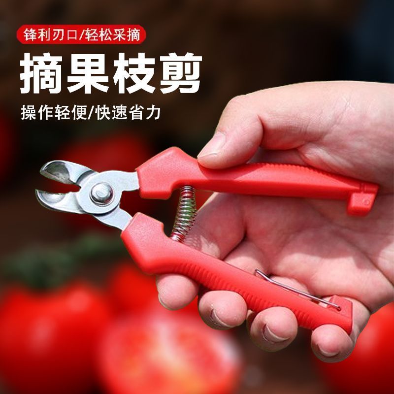 柑橘脐橙采果剪采摘剪凹形剪刀窝型果树剪枝水果剪枝剪果专用剪刀