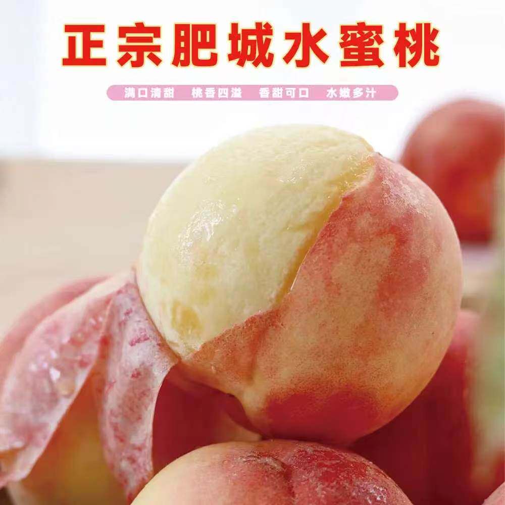 肥城桃头茬水蜜桃12个装撕皮软甜爆汁自然熟露天生长现摘现发包邮