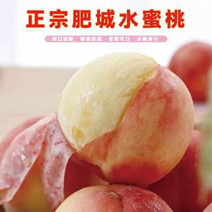 肥城桃头茬水蜜桃12个装撕皮软甜爆汁自然熟露天生长现摘现发包邮