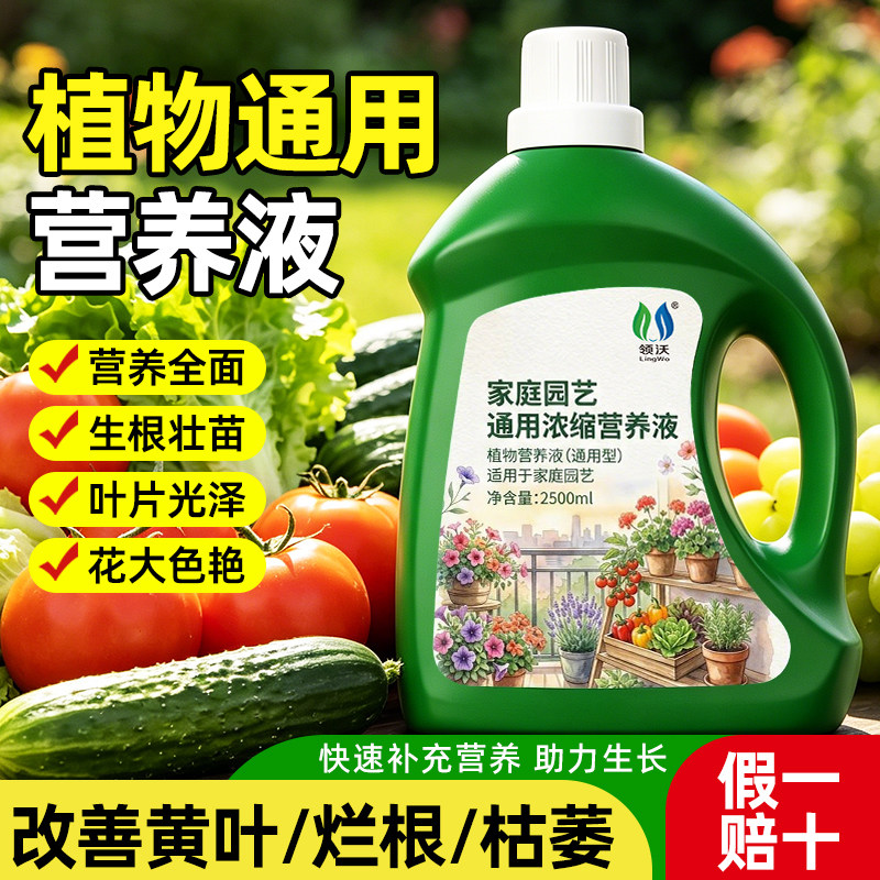 2500ml浓缩营养液植物通用型绿萝富贵竹发财树多肉水培养花卉绿植 - 实物图