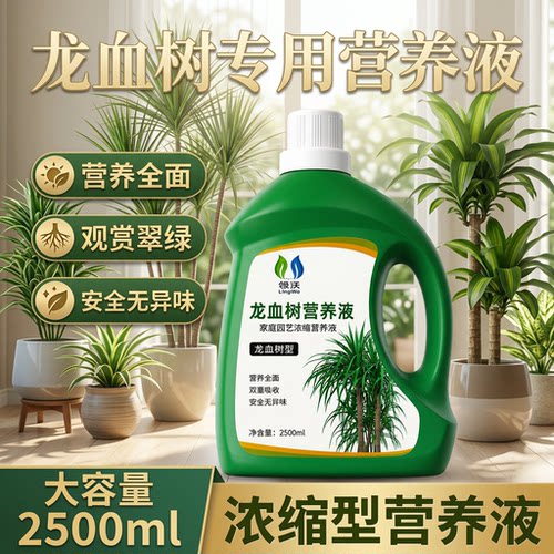 龙血树龙须树专用肥料营养液盆栽植物室内绿植养花通用龙须树急救